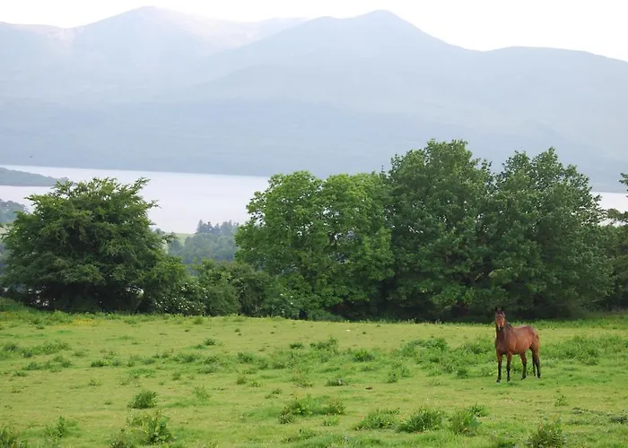 펜션 Old 킬라니