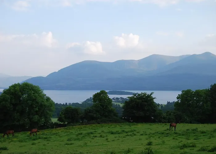 Old 펜션 킬라니