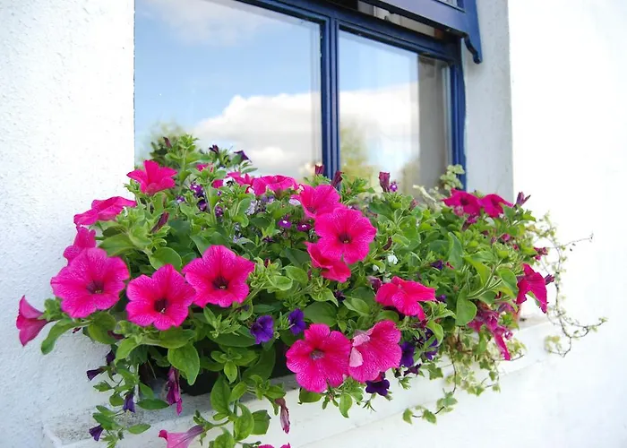 Old * קיל איירן