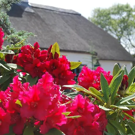 Vakantiehuis Old